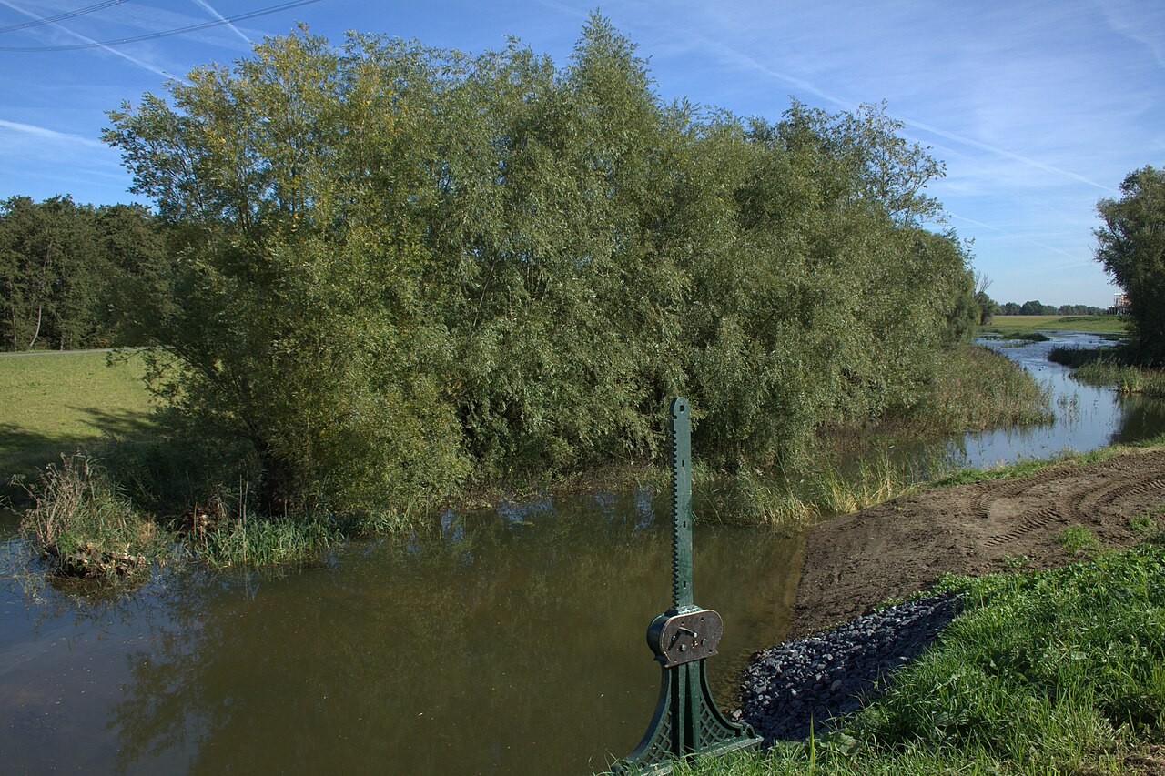 The Bevert creek winding through the Biesbosch near Werkendam