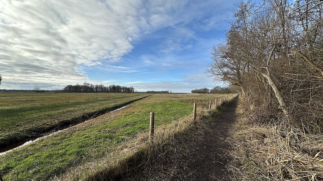 Grassland and a ditch in the Gement polder, with a path beside a row of trees