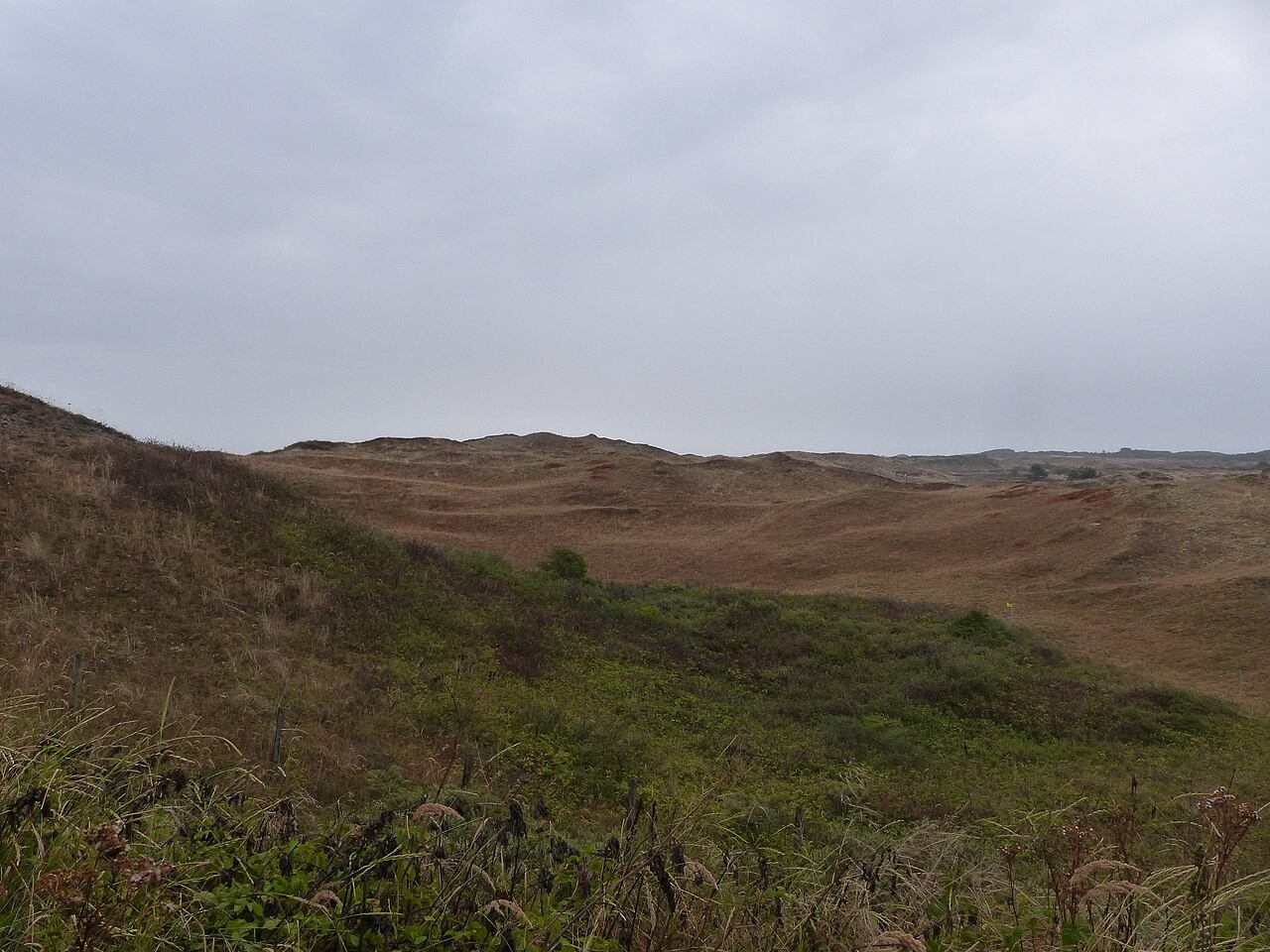 Dune landscape on Texel