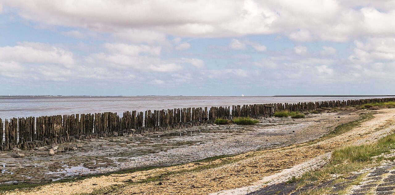 Exposed mudflats and breakwaters along the Wadden Sea near Paesens-Moddergat