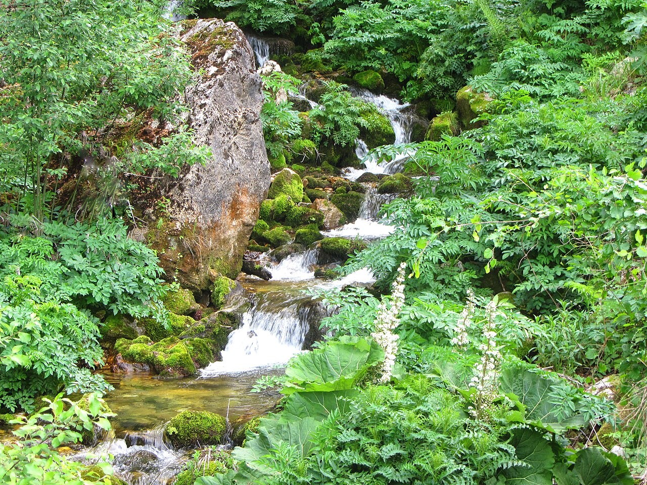 Bergbach mit kleinen Wasserfällen im Grünen des Nationalparks Mavrovo