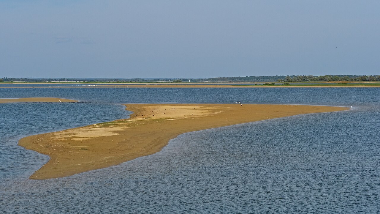 Eau libre et rives du lac du Der-Chantecoq dans le Grand Est