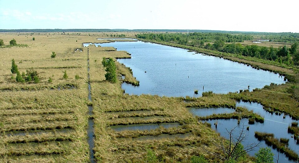 Open raised bog landscape of Fochteloërveen