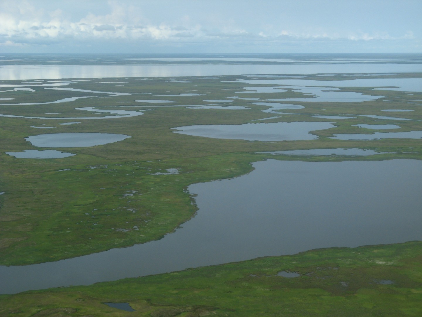Toendra met meren op de kustvlakte van Alaska