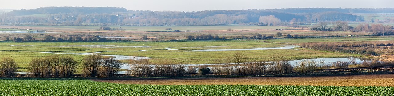 Marais salant dans la baie de Somme près de Noyelles-sur-Mer