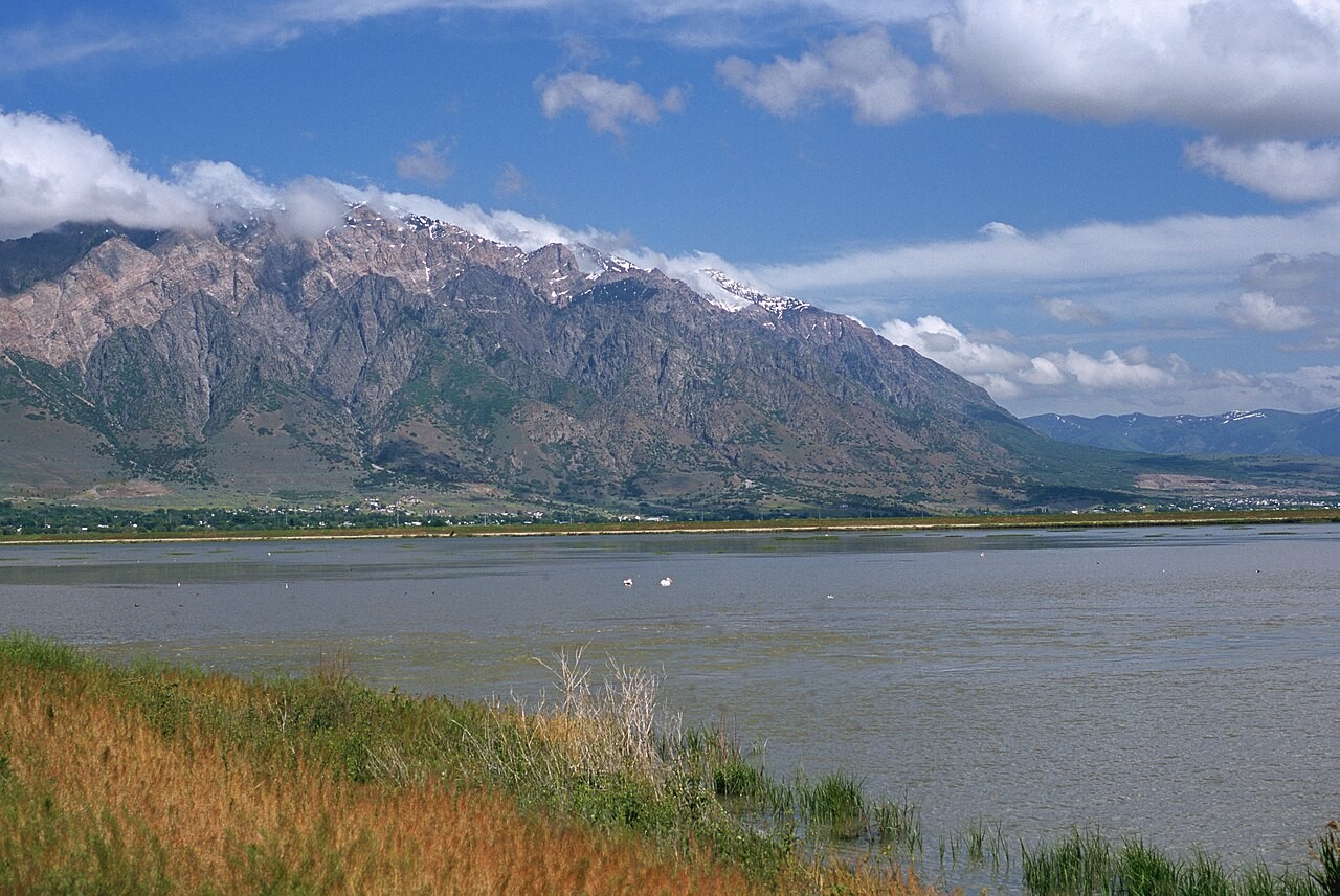 Open wetlands van Bear River Migratory Bird Refuge in Utah