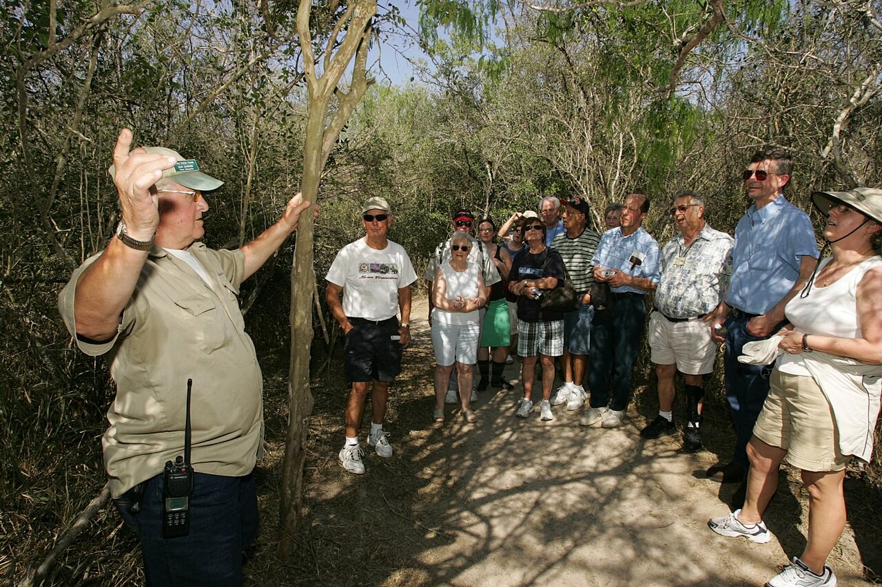 Palmbomen en subtropische vegetatie in Santa Ana National Wildlife Refuge in Texas