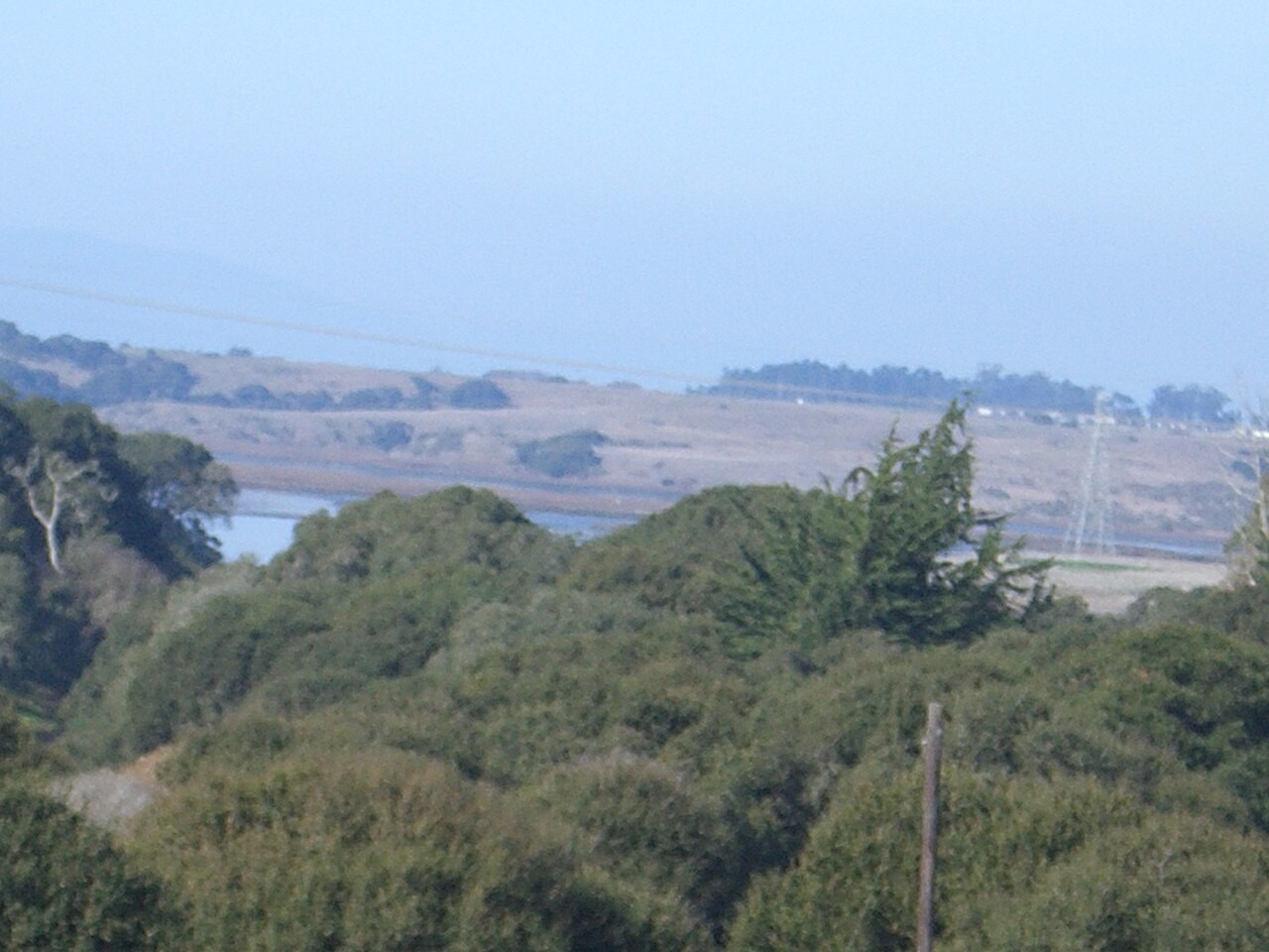 Water en oevervegetatie in Elkhorn Slough in Californië