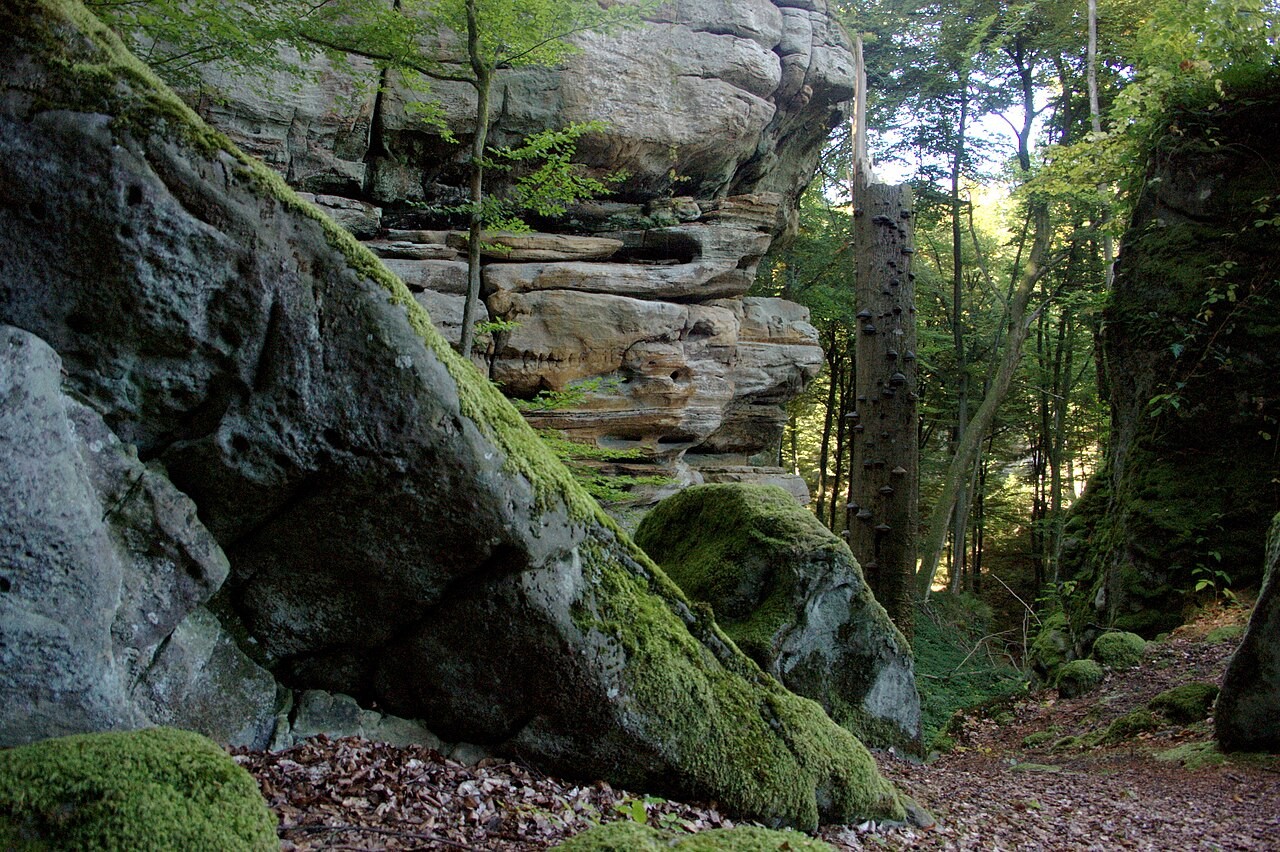 Sandsteinfelsen und Buchenwald im Müllerthal