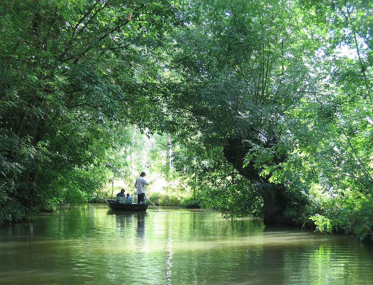 Paysage verdoyant de canaux dans le Marais poitevin, dans l'ouest de la France