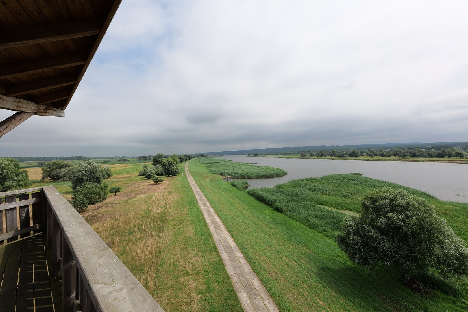 Vue sur les polders fluviaux dans le parc national de l'Unteres Odertal