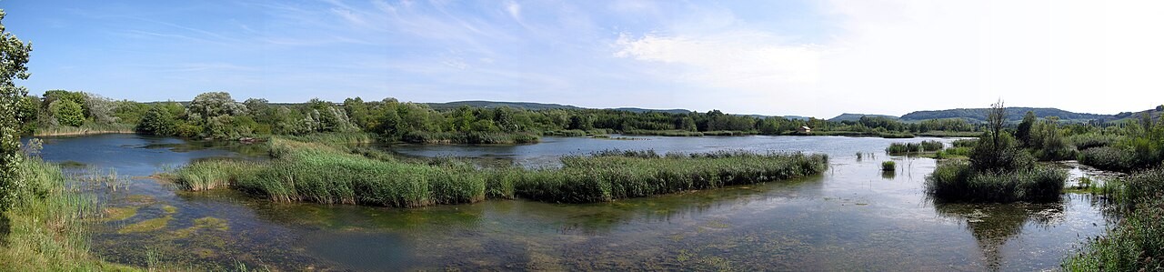Panorama des Naturschutzgebiets Haff Réimech mit Wasserflächen und offenen Ufern