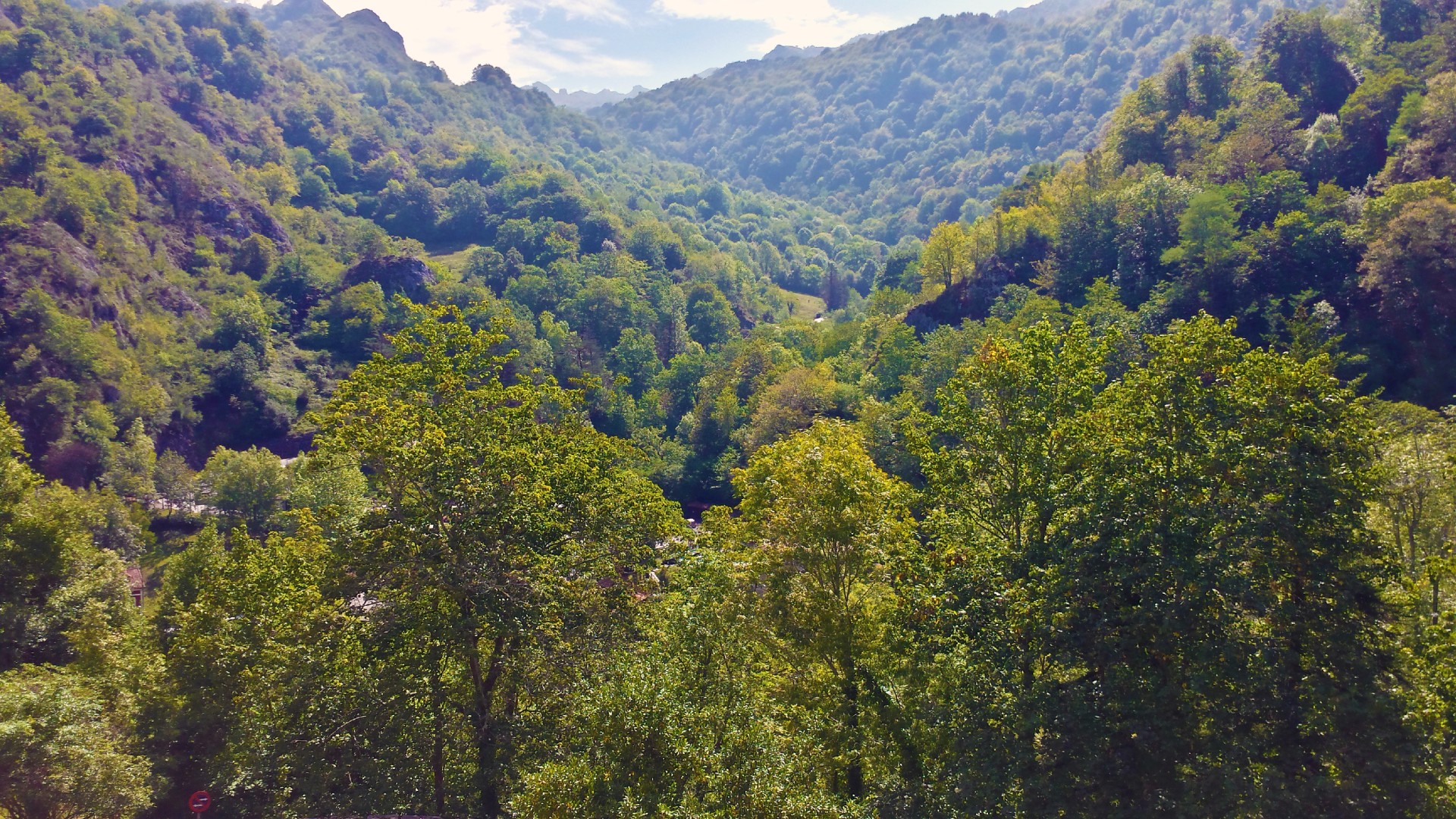 Versants boisés du parc national des Pics d'Europe