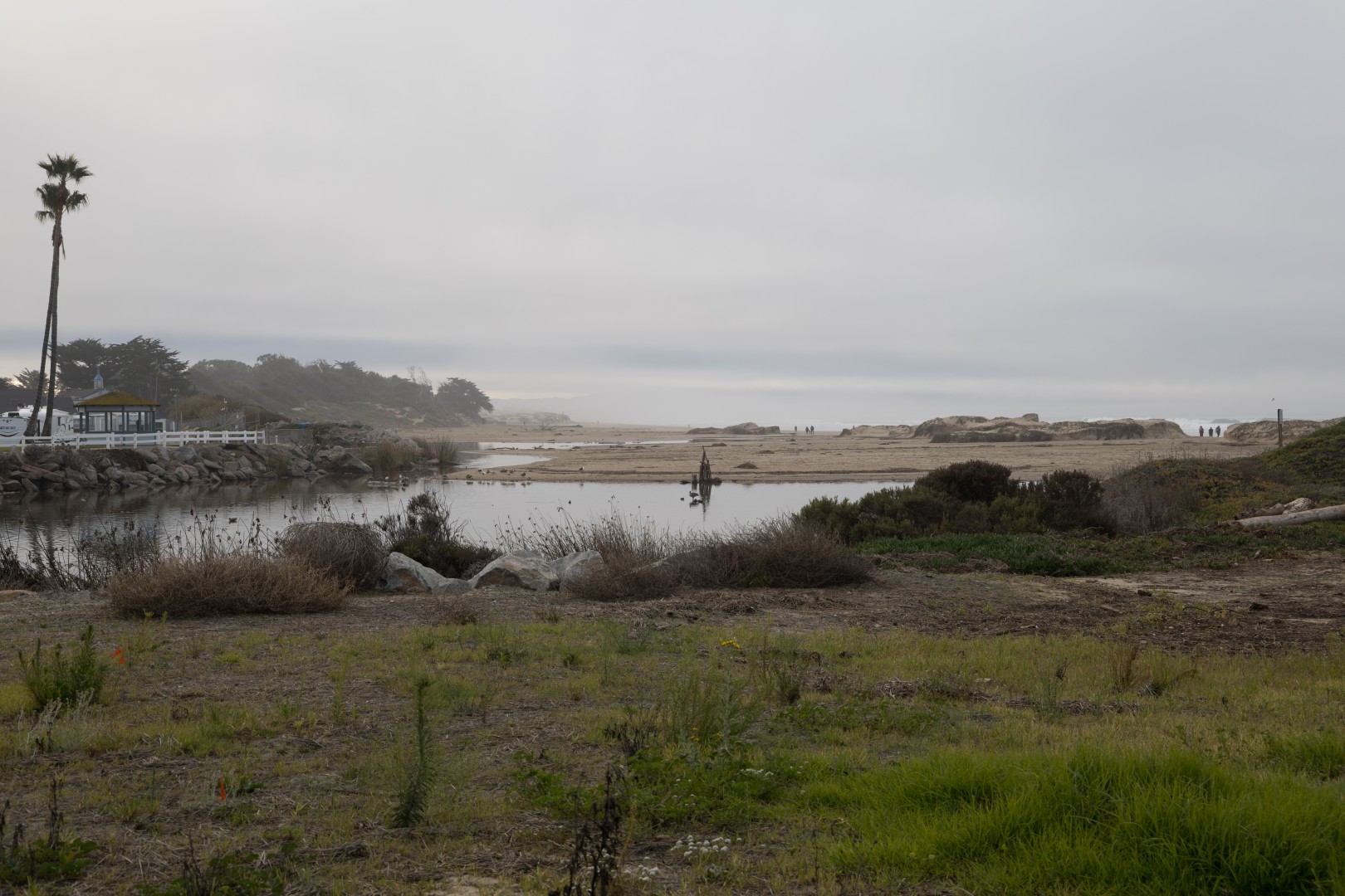 Estuario soggetto alle maree di Pismo Creek sulla costa californiana