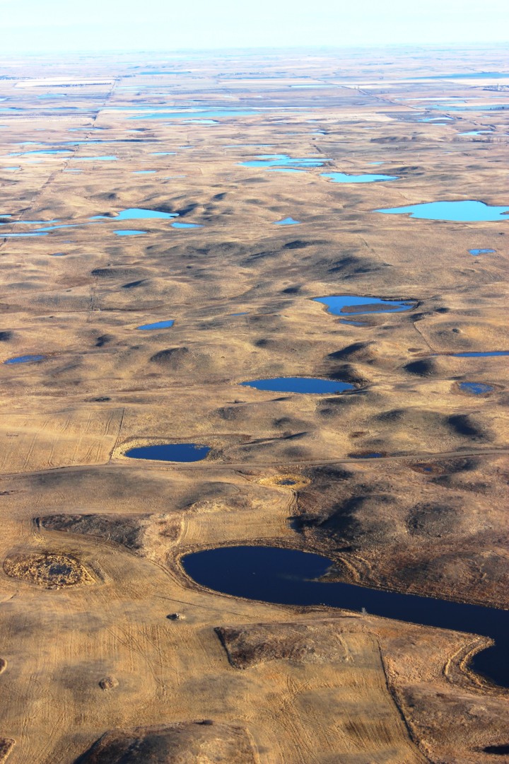 Prärie-Tümpel und Grasland in North Dakota