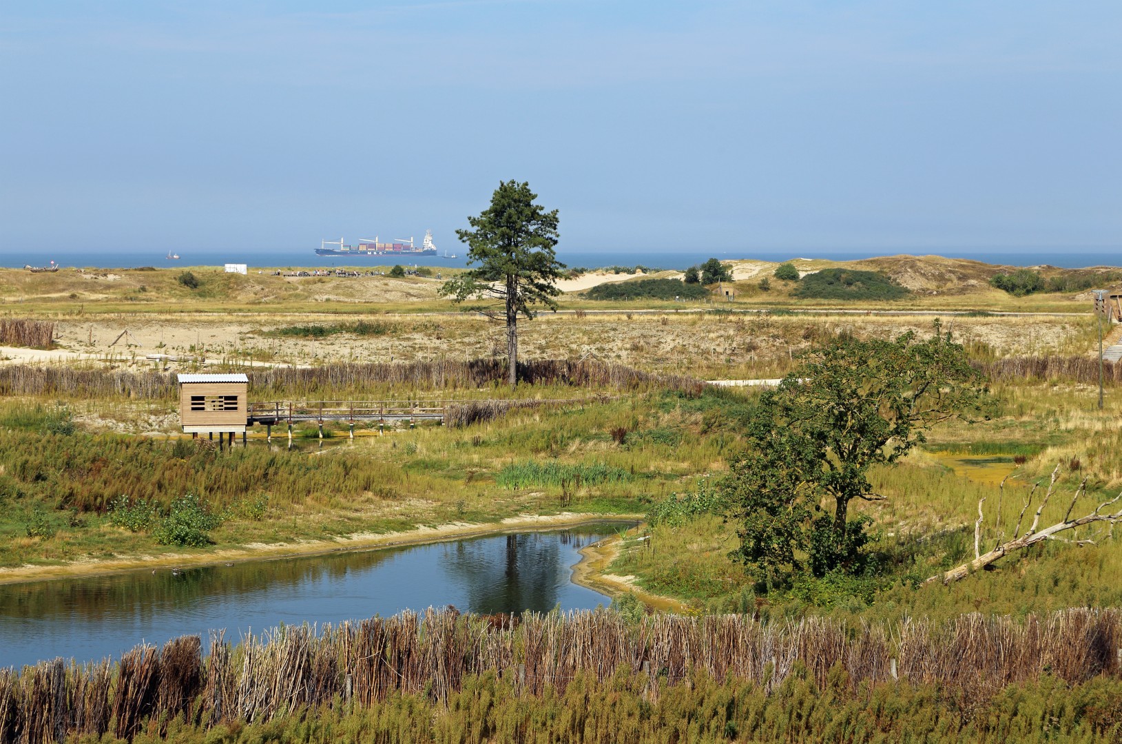 Mudflats and salt marshes in Het Zwin nature reserve on the Belgian coast