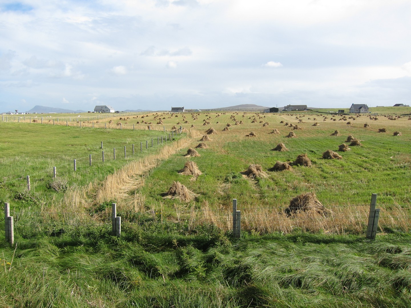Machair landscape on South Uist in the Outer Hebrides