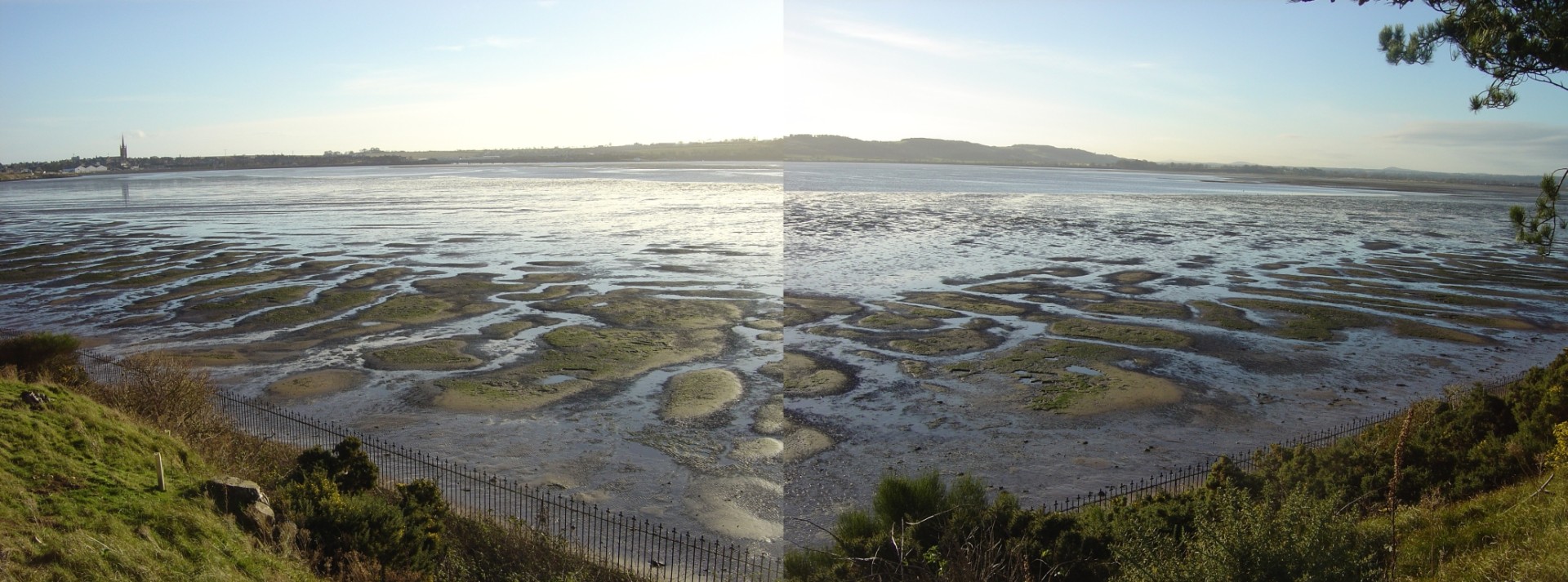 Tidal landscape at Montrose Basin in Angus