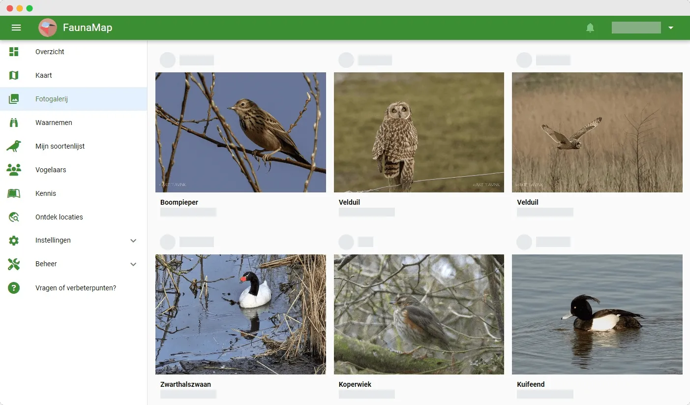 Foto's vogelwaarnemingen